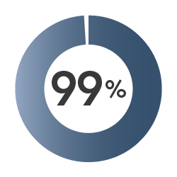 99% complete blue circle graph