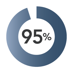 Blue circle graph with 95% complete